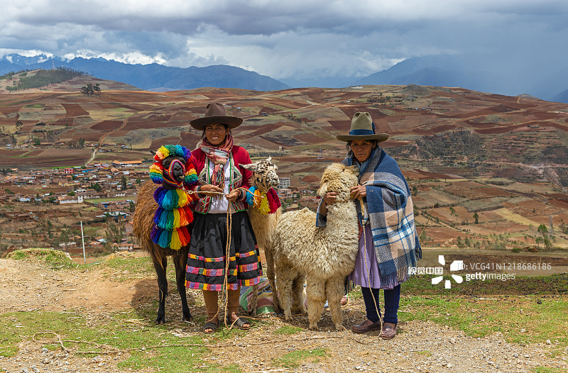 秘鲁库斯科的盖丘亚族妇女与美洲驼和羊驼图片素材