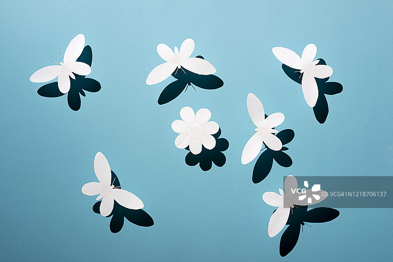 纸蝴蝶图片素材