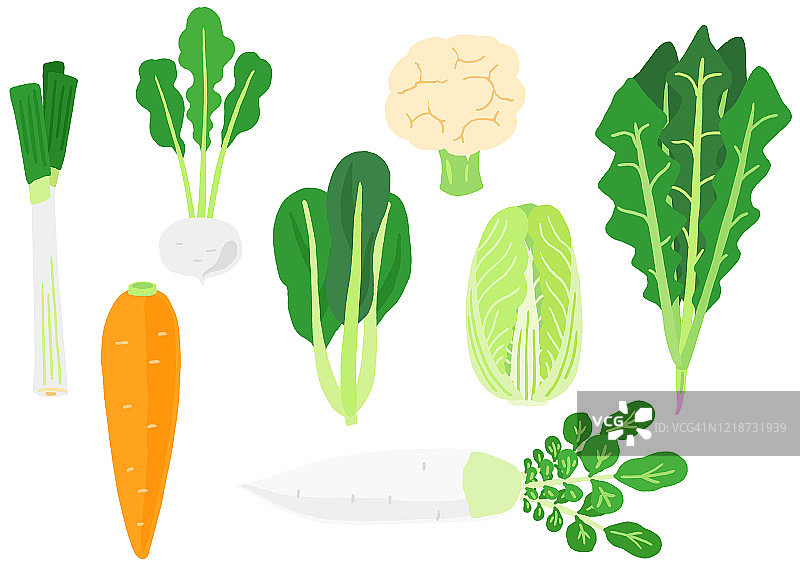 日本冬季蔬菜矢量素材图片素材
