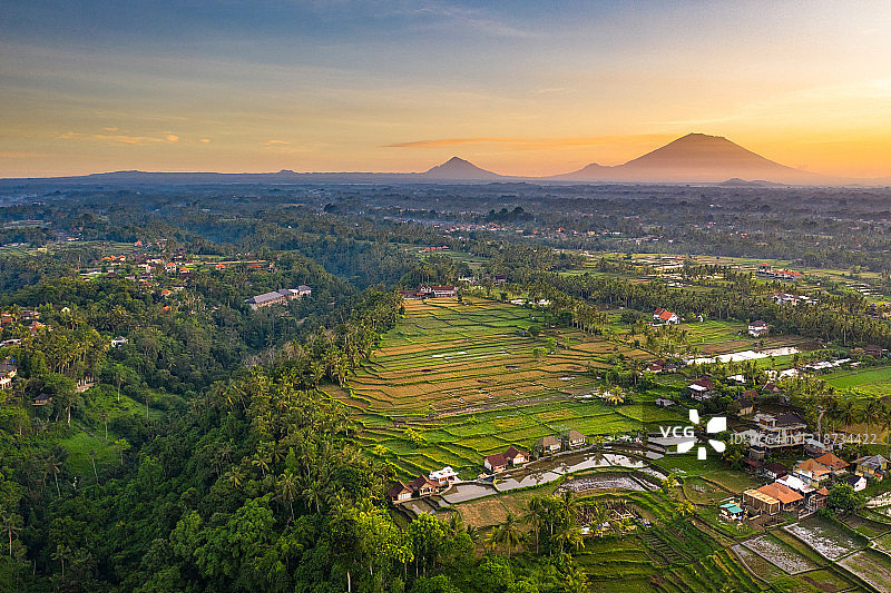 巴厘岛乌布稻田的日出航拍图片素材