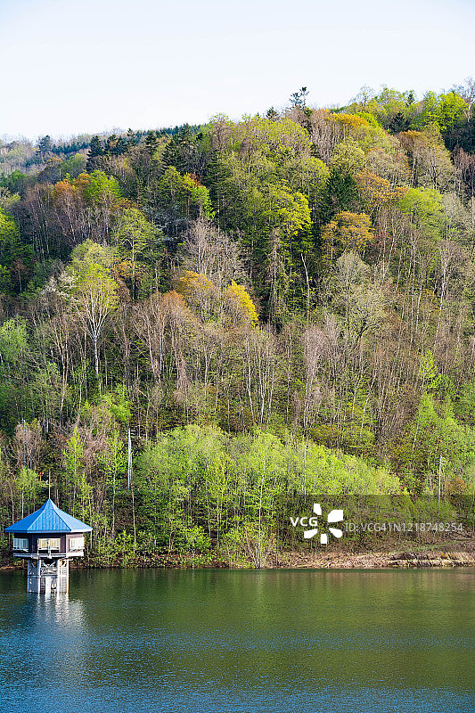 新鲜绿色森林与湖泊图片素材