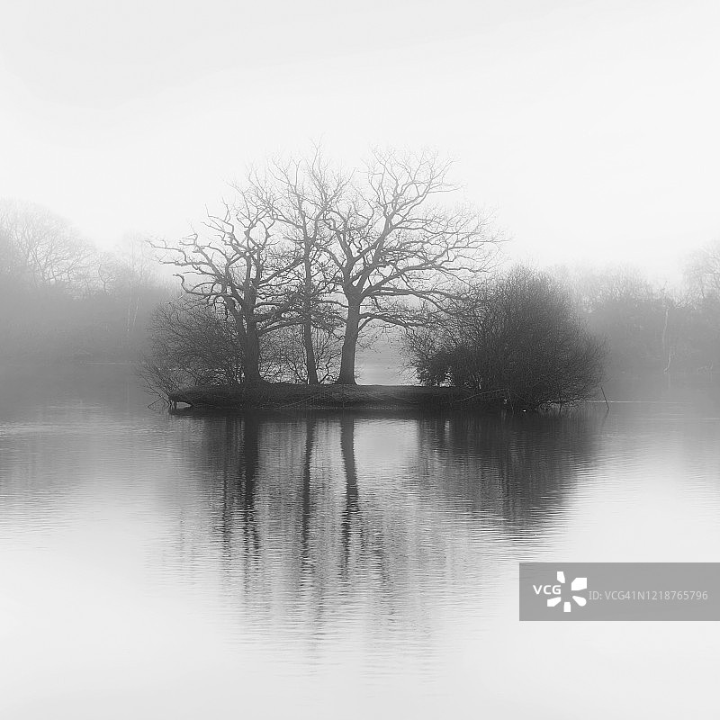 背叛的微妙艺术图片素材