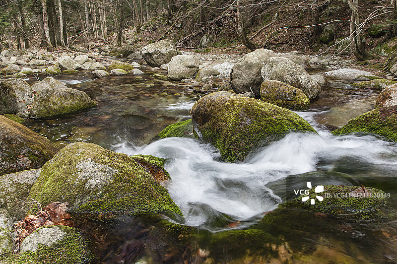 森林中的流水图片素材