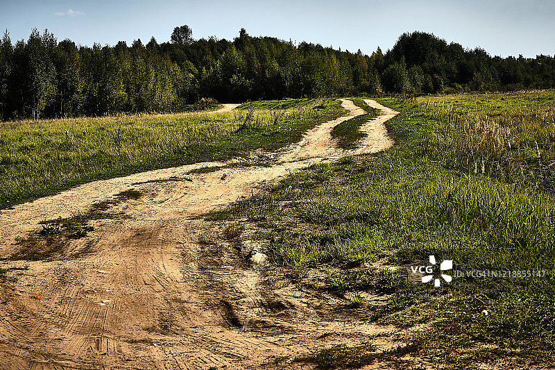 面向麦田的乡村森林墙图片素材