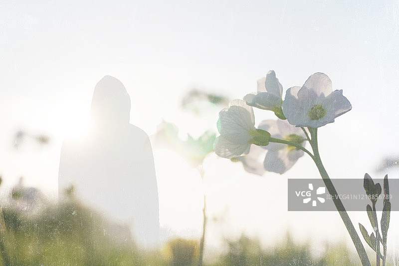 白色花朵与戴帽人剪影的双重曝光（复古纹理编辑）图片素材