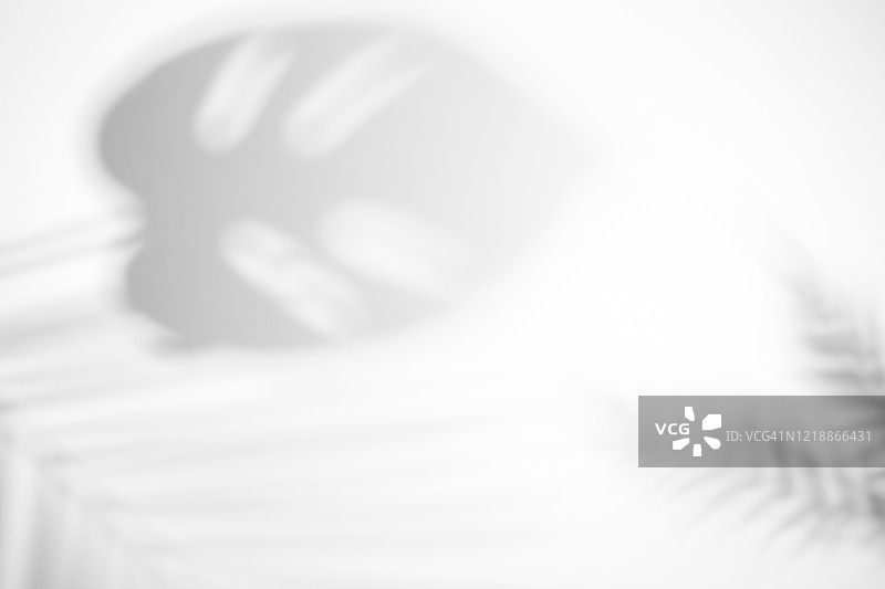 树叶的阴影图片素材