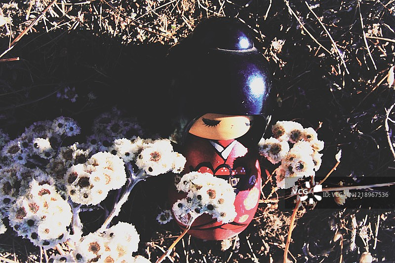 和服娃娃图片素材