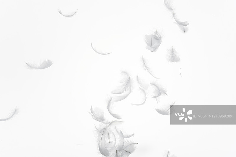 漂浮在空中的白色羽毛图片素材