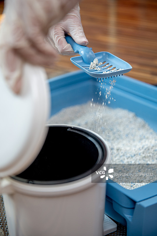 在家清洁宠物猫砂盆特写图片素材