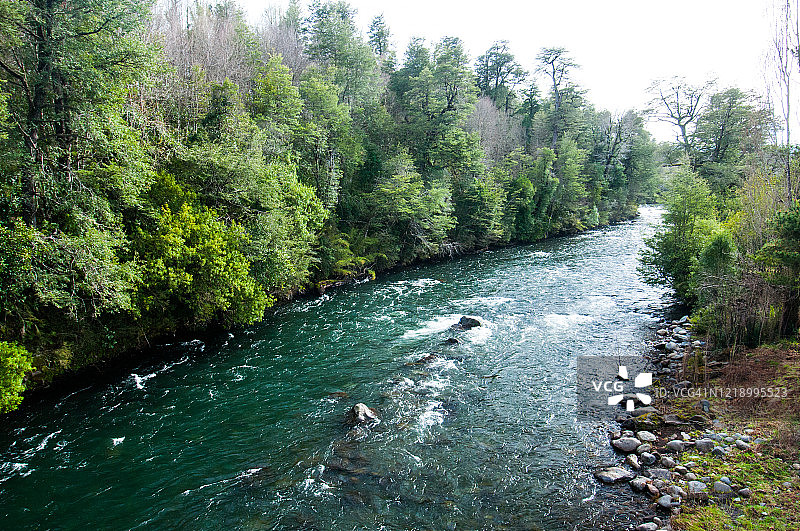 康吉利奥国家公园考丁河，智利图片素材