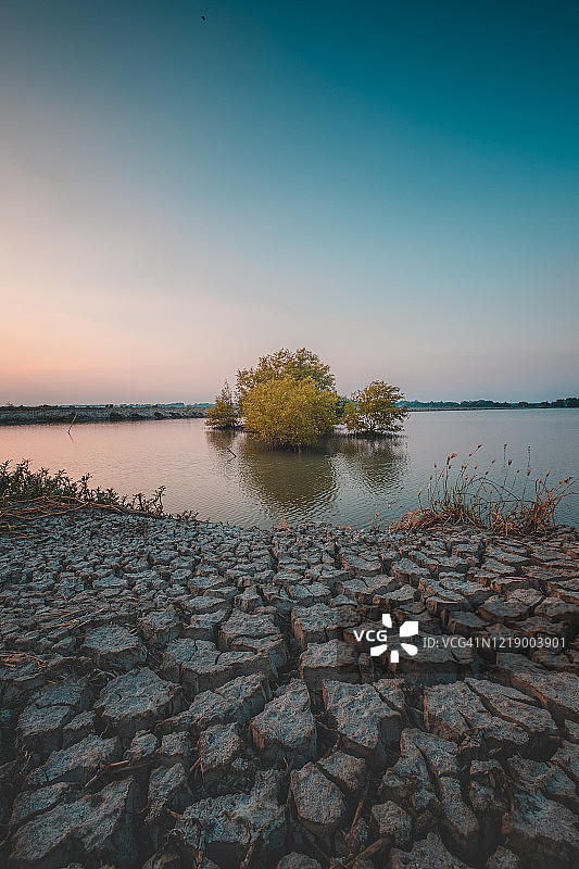 田野中干燥龟裂的土壤地面纹理图片素材