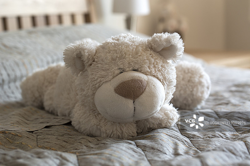 可爱的毛绒填充泰迪熊图片素材