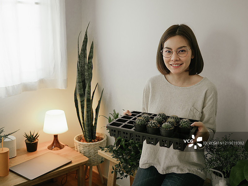 年轻女子整理仙人掌盆栽图片素材