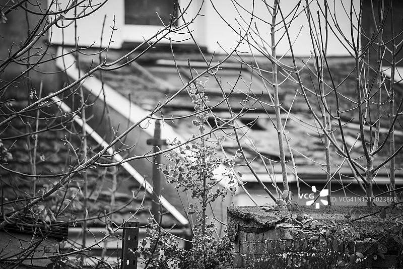 待拆除的废弃联排房屋图片素材