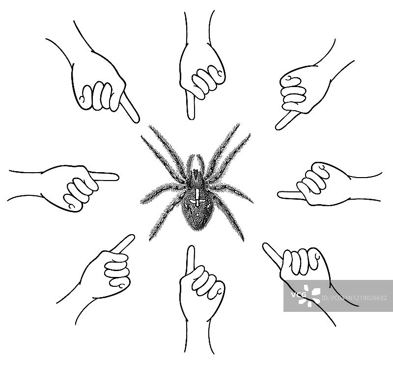 手指指向一只丑陋的蜘蛛图片素材