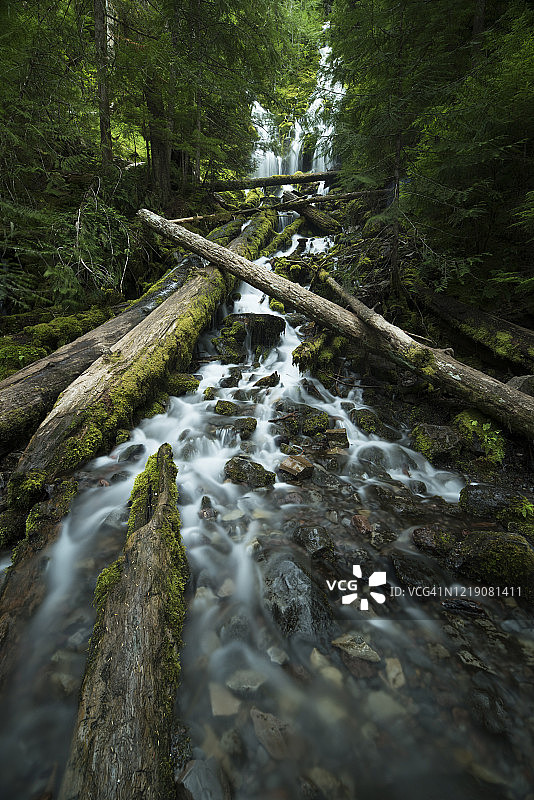威拉米特国家森林公园的代理瀑布，俄勒冈州中部图片素材