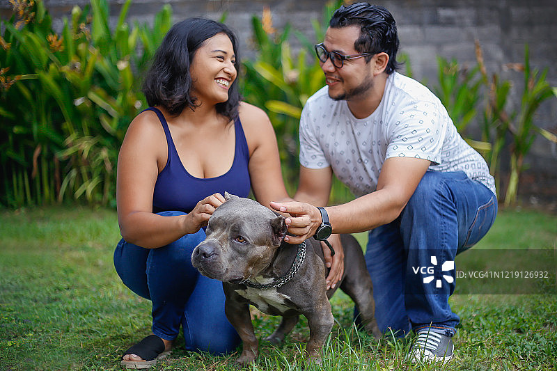 幸福情侣和可爱的美国斗牛犬玩耍图片素材