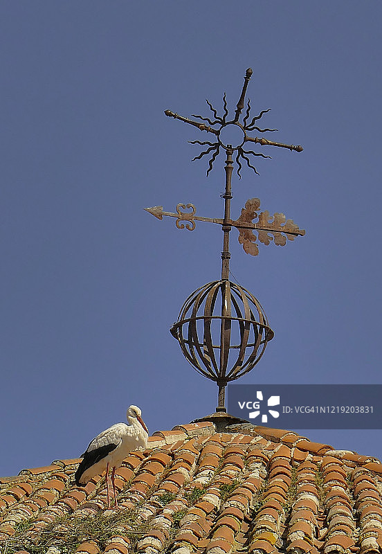 白鹳栖息在特鲁希略蓝白瓷砖钟楼上图片素材