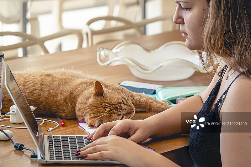 学生和她的猫在家上课图片素材