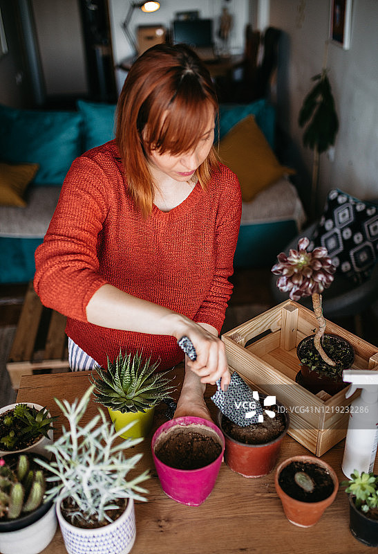 使用园艺设备种植新盆栽的年轻女人图片素材
