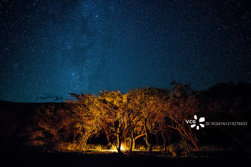 星空下照亮树林的篝火图片素材