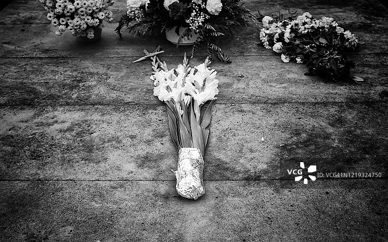 墓地里的鲜花图片素材