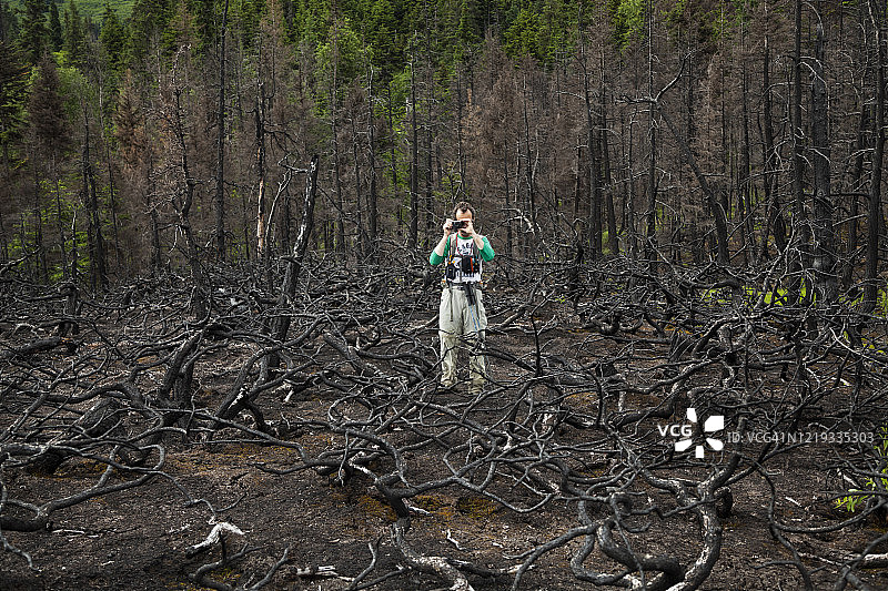 男子拍摄阿拉斯加基奈半岛烧焦的树木图片素材