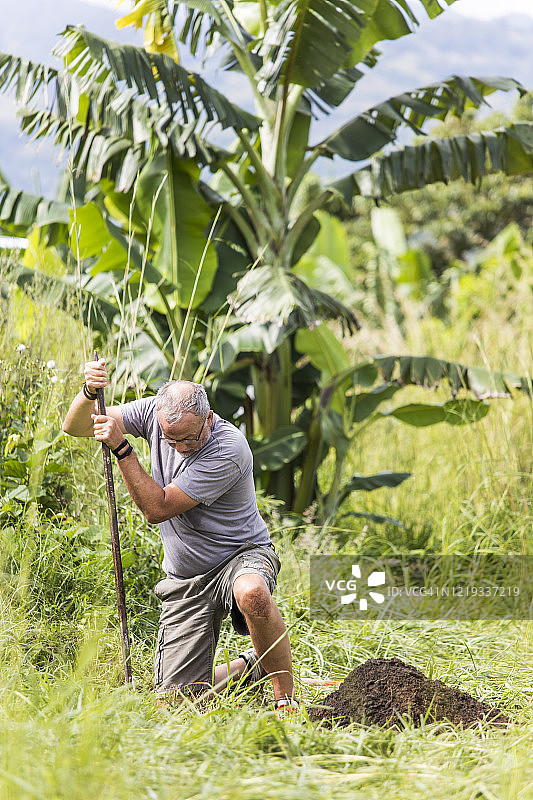 老人在户外用铲子挖深坑图片素材