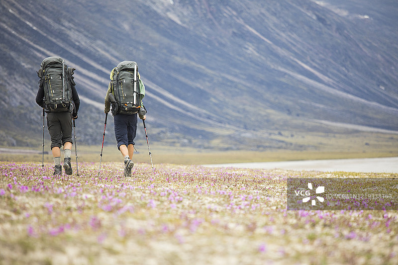 两名背包客徒步穿越野花草地的背影图片素材