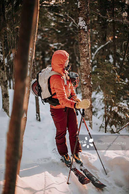 女性越野滑雪者在树林中看日出图片素材