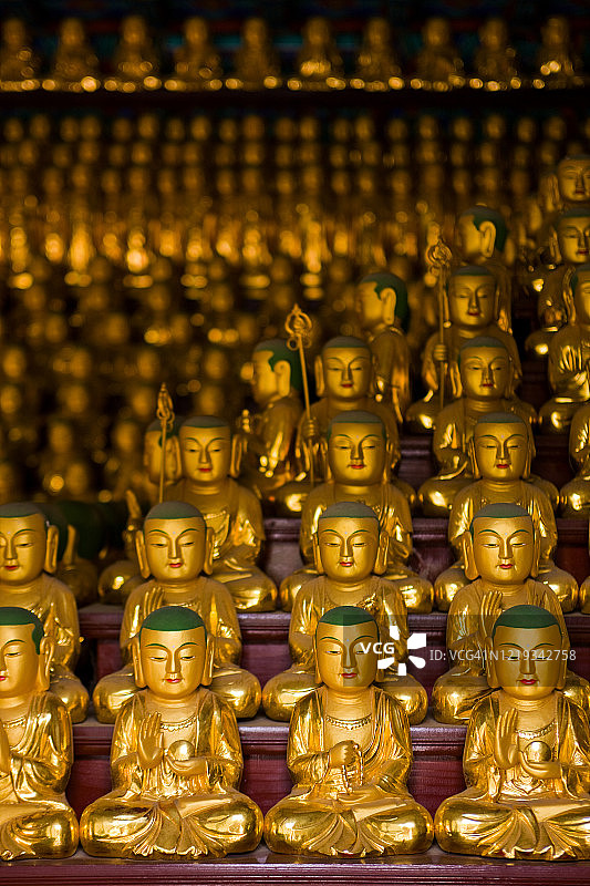 佛教寺庙里的金色佛像图片素材