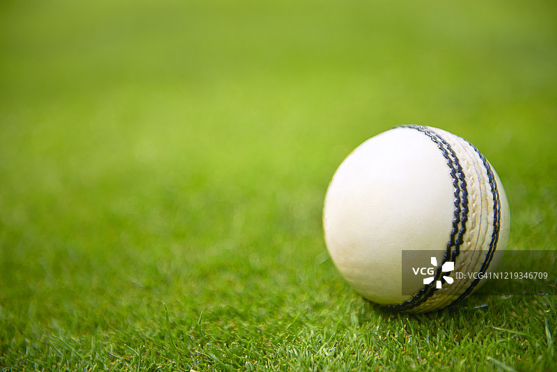 草地上的白色板球图片素材