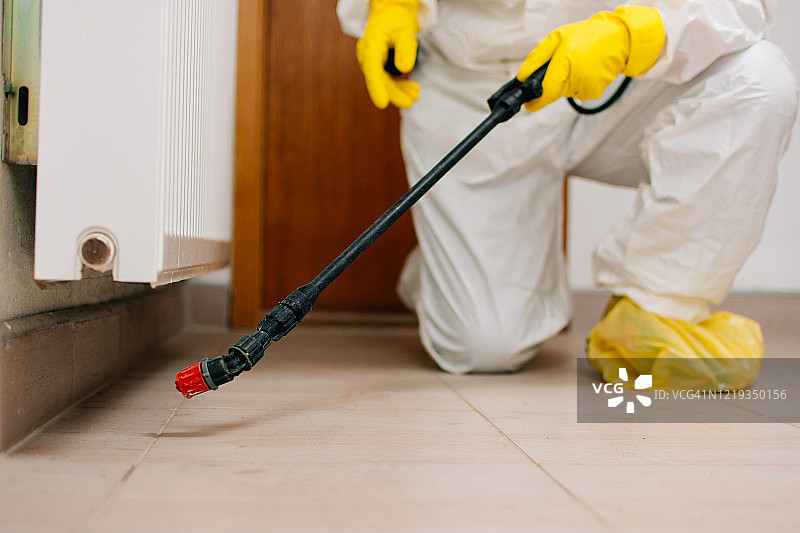 害虫防治、卫生、消毒图片素材