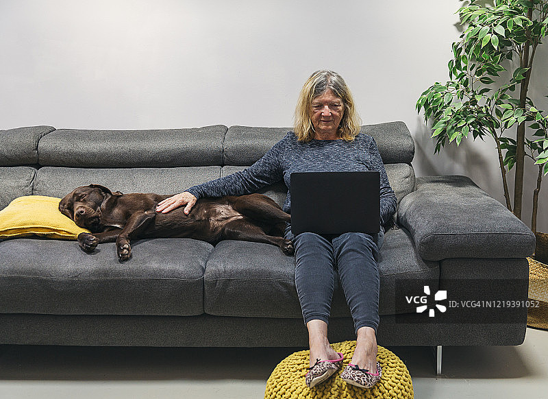 在沙发上使用笔记本电脑的年长女士，宠物狗在她身旁图片素材
