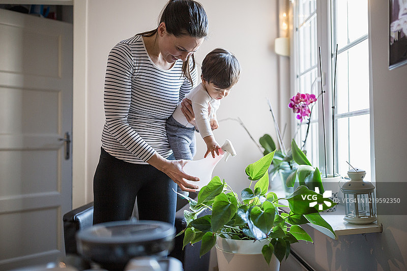 她的室内花园图片素材