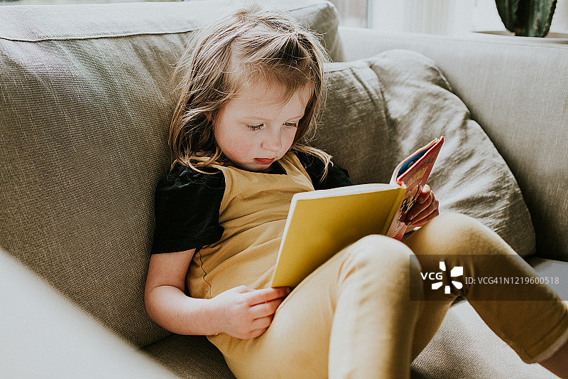 阅读的小女孩图片素材