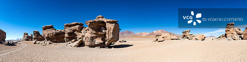 玻利维亚波托西地区石头树图片素材