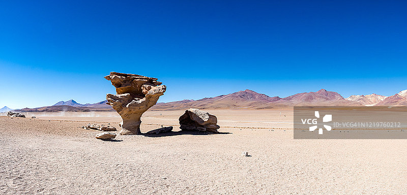 玻利维亚波托西地区石头树图片素材