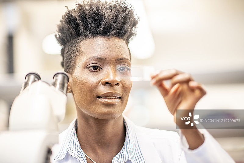 科学家寻找治疗方法图片素材