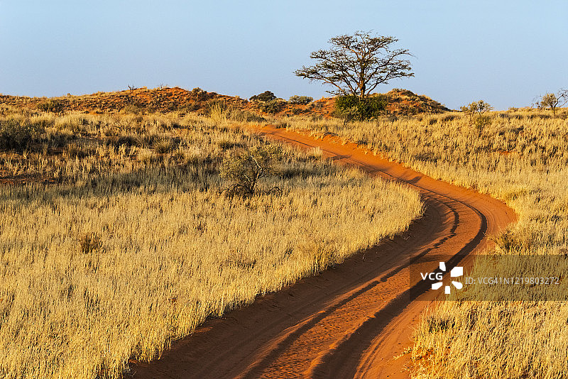 卡拉哈迪跨境公园日落时分的红色沙路图片素材