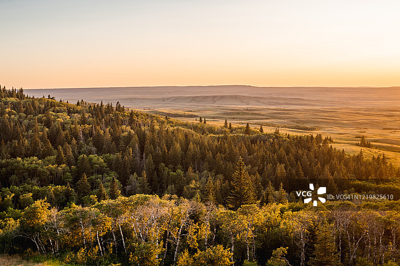 柏树山的日落图片素材