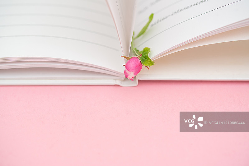 粉色花朵日记本图片素材
