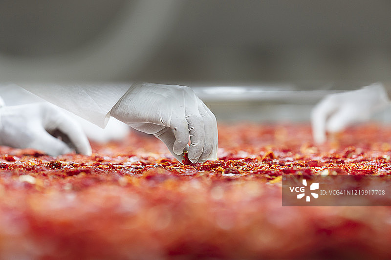 番茄干生产图片素材