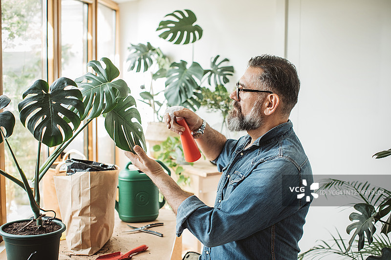 隔离期间的花园种植图片素材