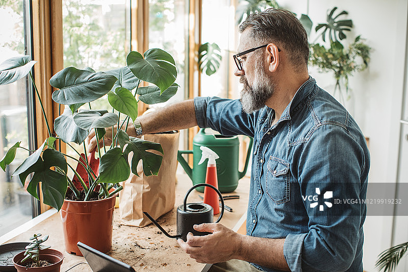 隔离期间的园艺视频博客图片素材