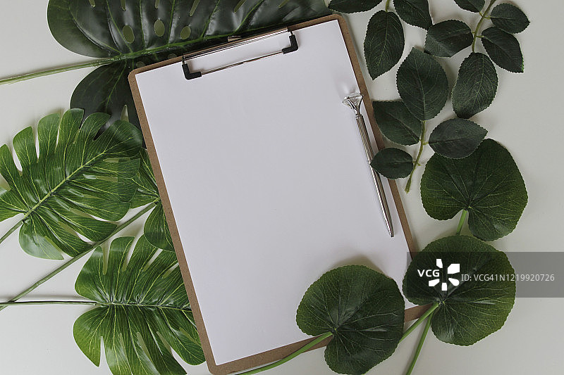 空白剪贴板和绿叶图片素材