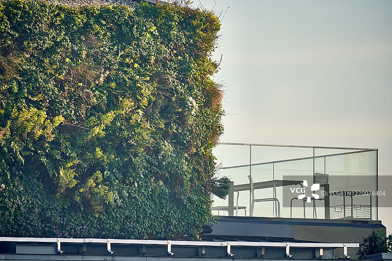 现代公寓一侧的植物墙图片素材