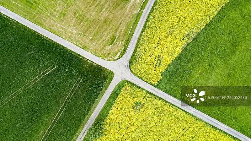 春季农田中的十字路口图片素材