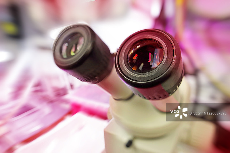 实验室中的显微镜图片素材