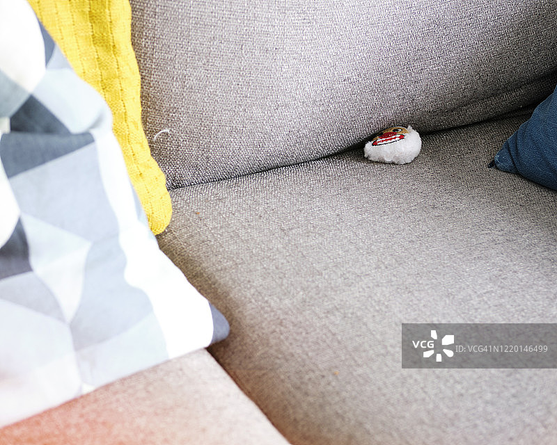 卡在沙发垫下的猫玩具图片素材